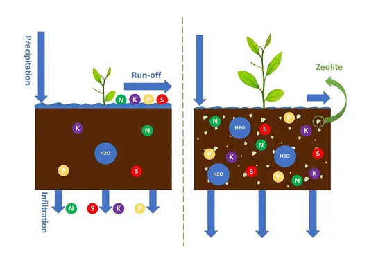 tetanam | Pupuk Zeolit: Untuk Pertumbuhan Tanaman yang Lebih Optimal pupuk zeolit