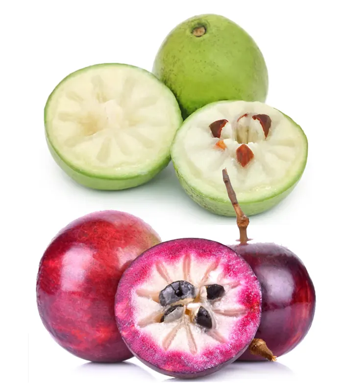 tetanam | Buah Kenitu: Keajaiban Tropis yang Wajib Diketahui! buah kenitu ungu