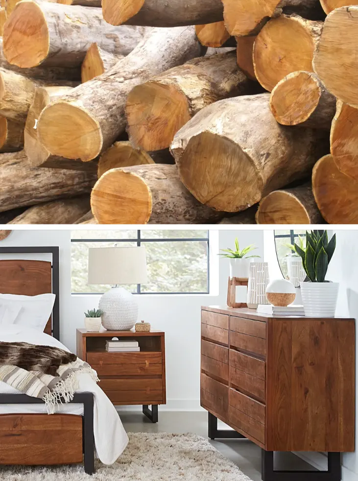 tetanam | Pohon Akasia: Manfaat Ganda untuk Lingkungan dan Industri pemanfaatan kayu akasia