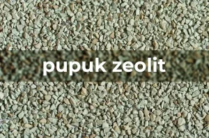 tetanam | Pupuk Zeolit: Untuk Pertumbuhan Tanaman yang Lebih Optimal pupuk zeolit adalah