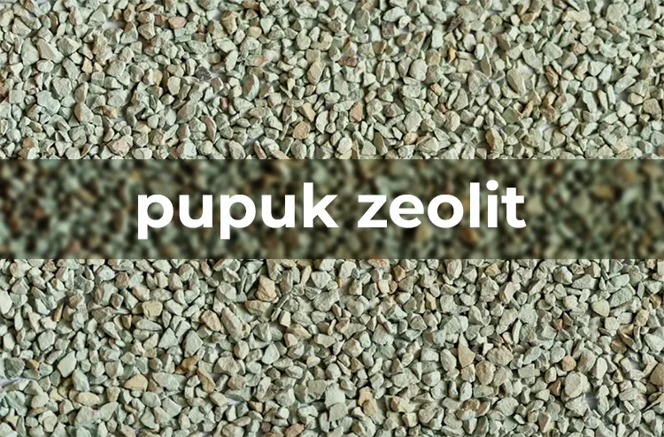 tetanam | Pupuk Zeolit: Untuk Pertumbuhan Tanaman yang Lebih Optimal pupuk zeolit adalah