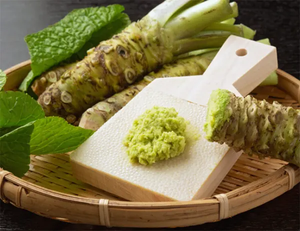 tetanam | Tanaman Wasabi: Mengapa Jadi Bintang dalam Masakan Jepang? tanaman wasabi