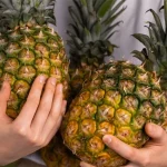 tetanam | Buah Nanas: Manfaat Menakjubkan yang Harus Anda Ketahui! buah nanas