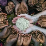 ketahanann pangan adalah