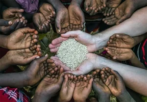 ketahanann pangan adalah