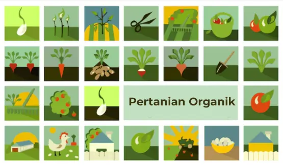 tetanam | Pertanian Organik: Masa Depan Pangan dan Lingkungan Sehat! pertanian organik