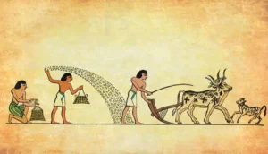 tetanam | Agrikultur: Fakta Mengejutkan di Balik Pangan Dunia tetanam | Agrikultur: Fakta Mengejutkan di Balik Pangan Dunia