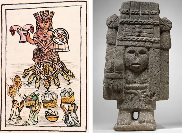 sejarah tanaman jagung