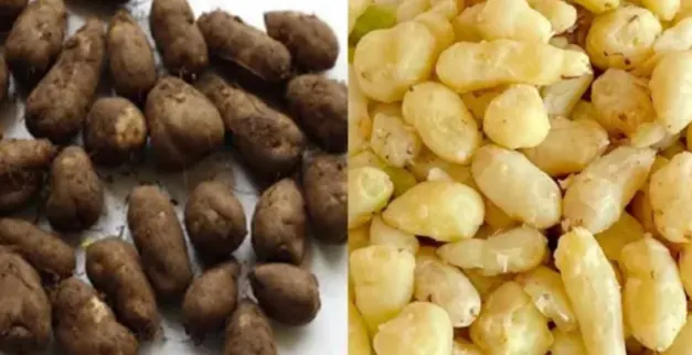 manfaat kentang hitam