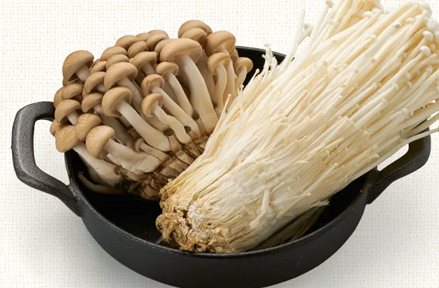 Jamur shimeji vs Jamur enoki