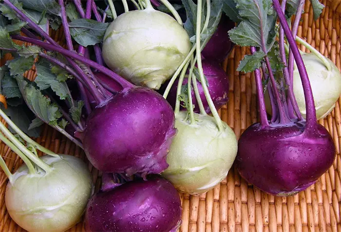 sayur kohlrabi