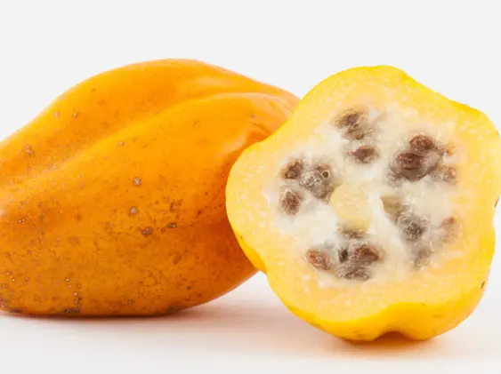 kandungan nutrisi buah carica