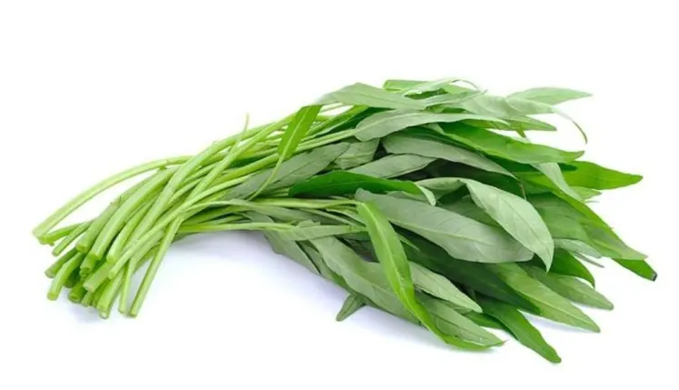 manfaat kangkung darat