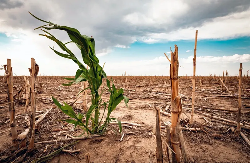 pertanian dan perubahan iklim