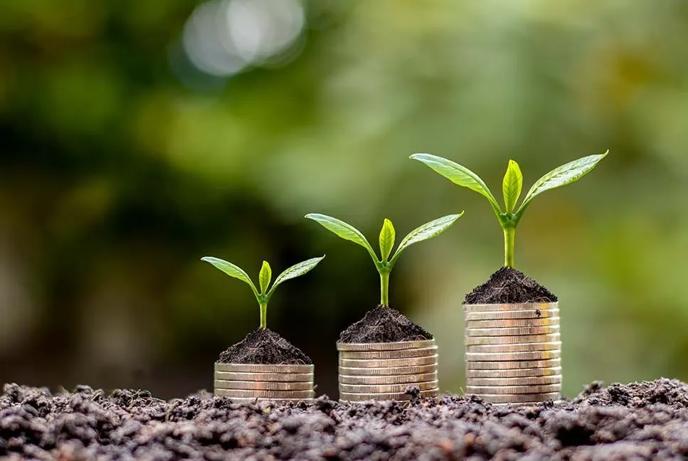 pertanian berkelanjutan