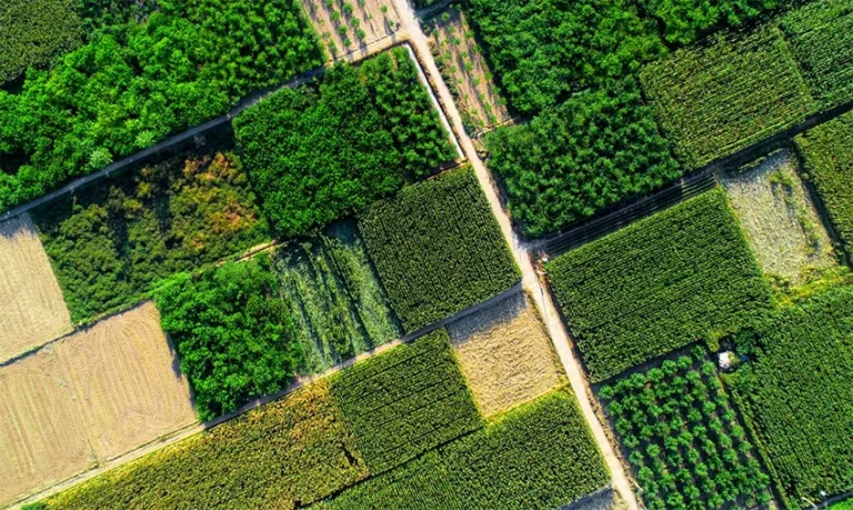 pertanian berkelanjutan adalah