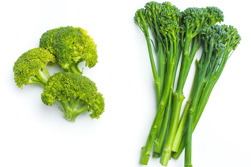 perbedaan brokolini