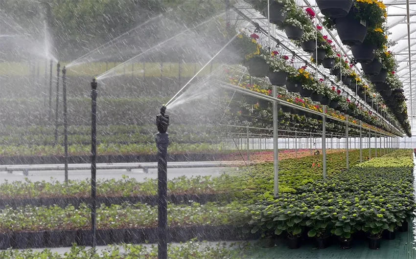 irigasi curah adalah