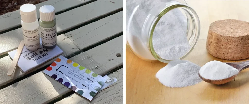 analisis tanah untuk tanaman