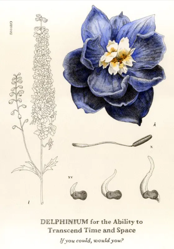 bunga delphinium