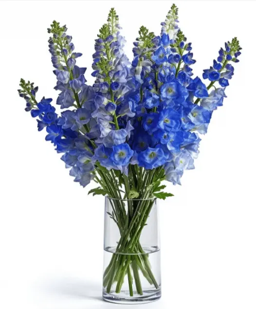 bunga delphinium