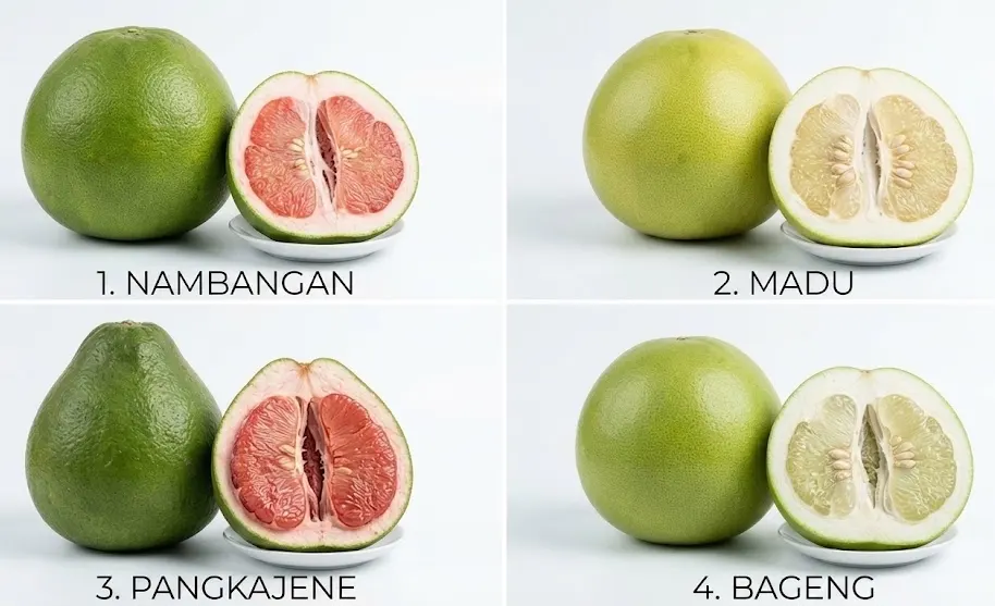 jenis jeruk pomelo