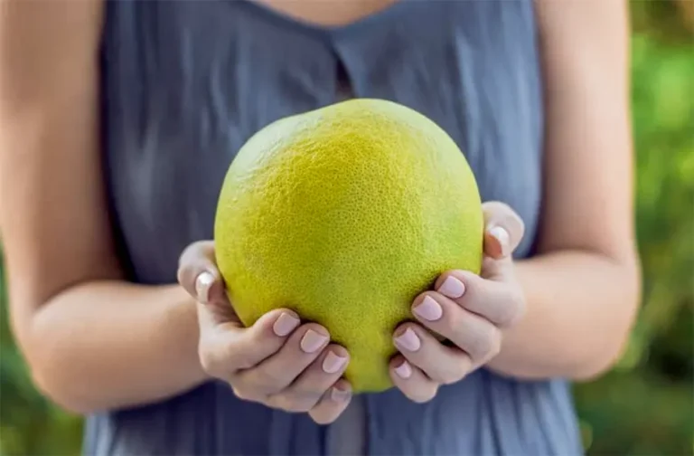 jeruk pomelo adalah