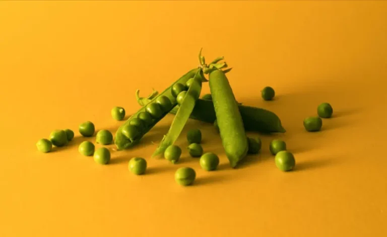 kacang kapri adalah