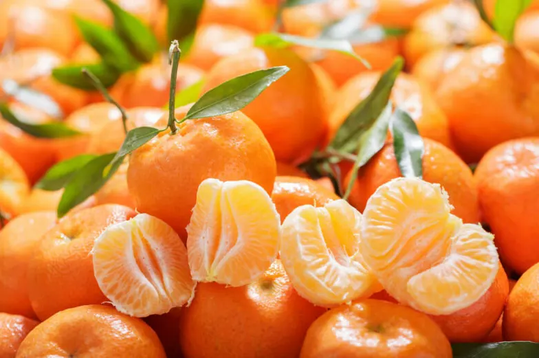 kandungan jeruk mandarin