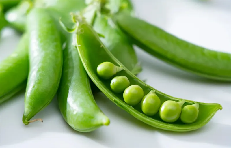 manfaat kacang kapri