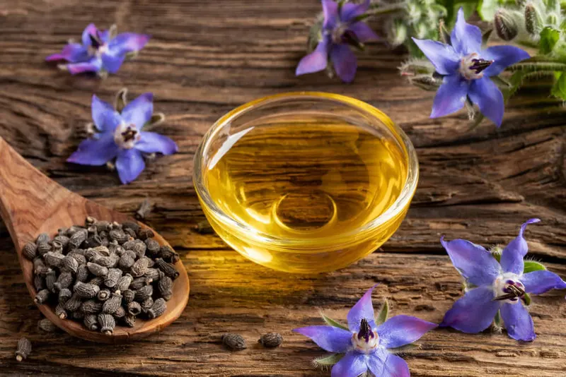 biji borage