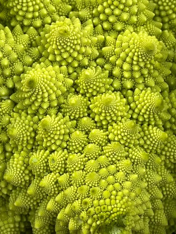 romanesco