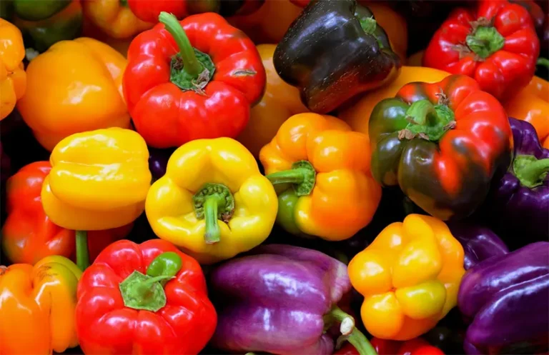 paprika adalah