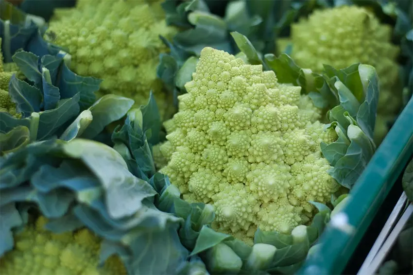 romanesco adalah