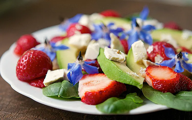 bunga borage